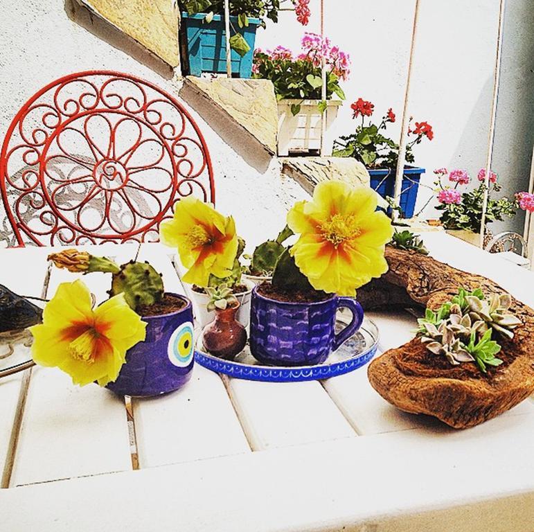 Akarsu Kalyopi Hotel Бозджаада Екстериор снимка